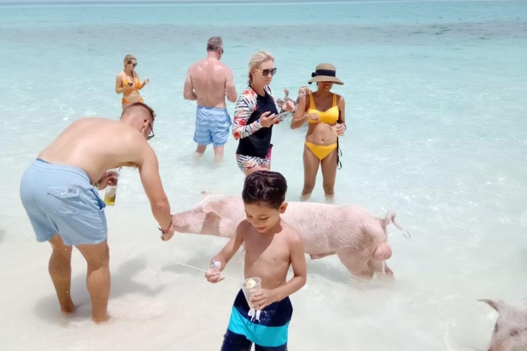 Nassau: privé speedboot, snorkelen en zwemmen met varkens TourGroepsreis