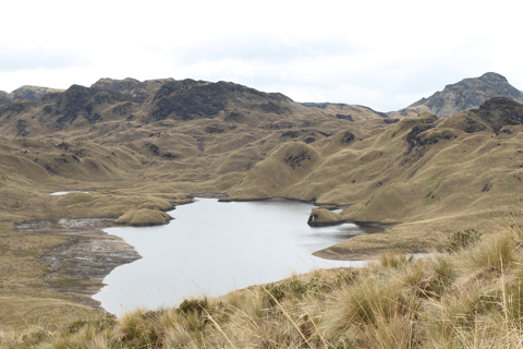 Papallacta: Caminata Ruta del Agua y vida