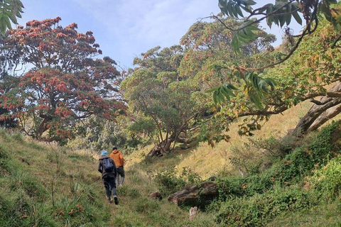 Addis Ababa: 6-Day Abijata Shalla NP & Bale Mountains Tour