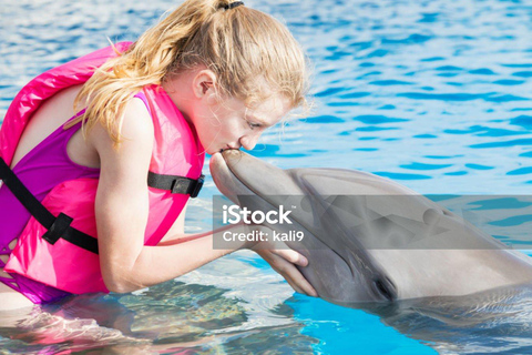 Punta Cana: Punta Cana Dolphin Encounter + Sea Lion Kiss Punta Cana: Dolphin Explore Swims and Encounters