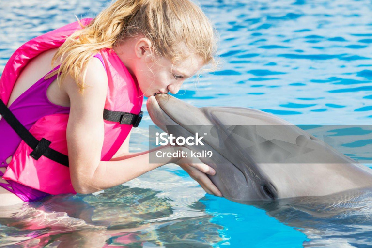 Punta Cana: Punta Cana Dolphin Encounter + Sea Lion Kiss Punta Cana: Dolphin Explore Swims and Encounters