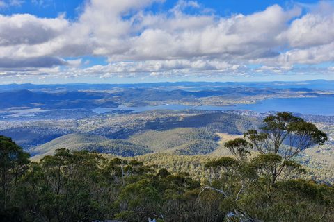 From Hobart: Mt Wellington Morning Walking Tour 4 Hour Mt Wellington Arrival Tour with Organ Pipes Walk