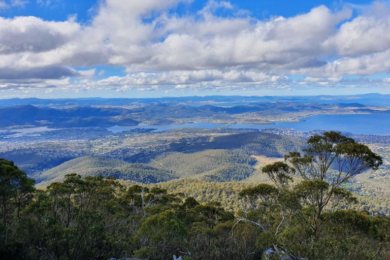 De Hobart: Excursão a pé pela manhã em Mt Wellington