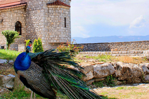 From Skopje: 2-Day Ohrid Tour with Boat Ride & Hotel Stay
