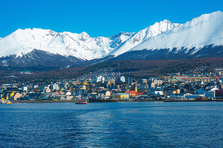 Ushuaia: Boat Trip to Isla Martillo: Penguins in the Beagle Channel Ushuaia: Navigation to Martillo Island: Penguins along the Beagle Channel