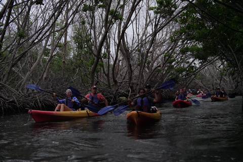 Fajardo: Bioluminescent Bay Kayak Tour in Puerto Rico