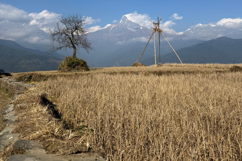 Pokhara: Australian Camp 1 or 2-Day Guided Hike