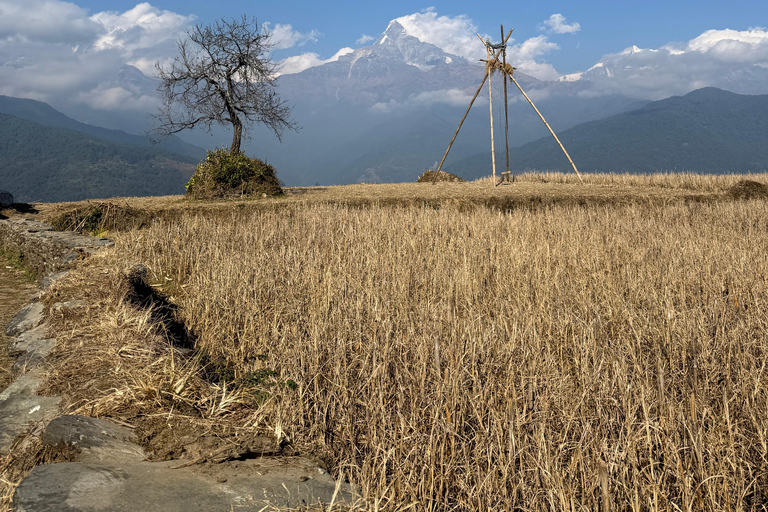 Pokhara: Australian Camp 1 or 2-Day Guided Hike