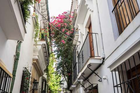 Marbella & Gibraltar Express from Málaga (optional Sightseeing Tour of the Rock & Dolphins) Marbella & Gibraltar Express with DOLPHINS from Muelle Heredia, 2