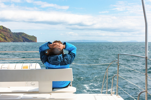 Ab Funchal: Delfin- und Whale-Watching-Tour auf Madeira