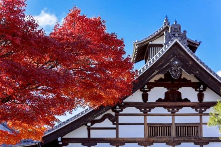 Osaka: Kyoto Arashiyama,Sanzen-in,Arboleda de bambú,Arces otoñalesEstación de Kioto Salida Hachijo recogida 9:50AM