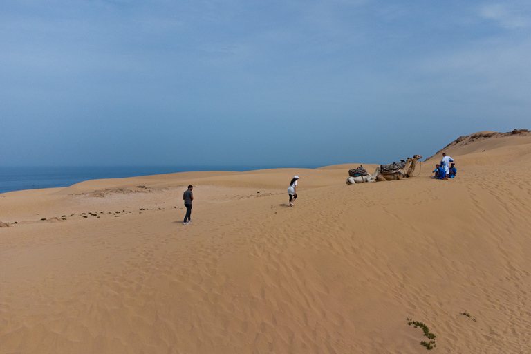 Depuis Agadir/Taghazout : Dunes de sable du Sahara avec transfert