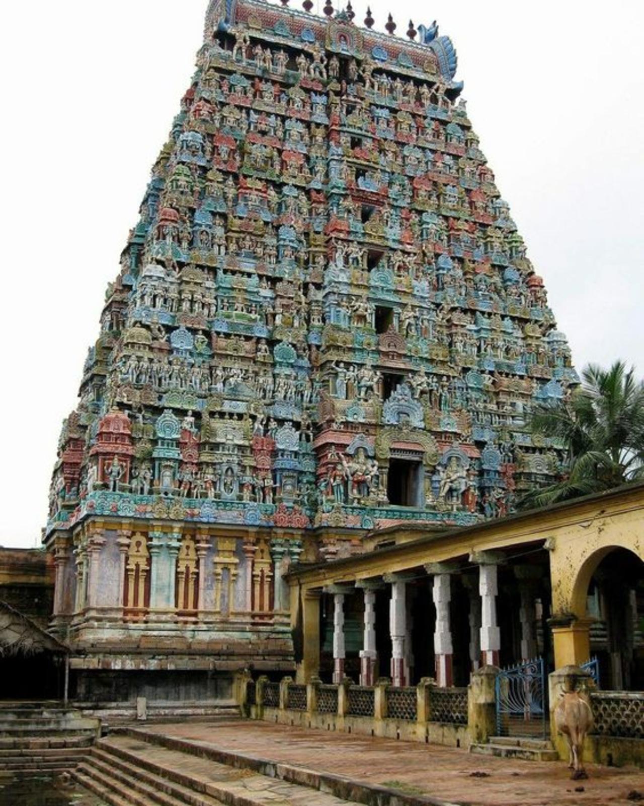 Von Chennai: Private Tour am selben Tag nach Kanchipuram und Vellore
