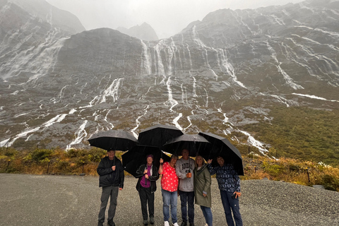 Queenstown: Milford Sound Premium Tour with Cruise Milford Sound Premium Tour with Cruise including lunch