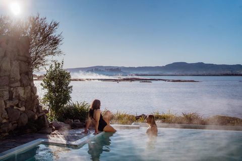 From Auckland:Rotorua Day Trip with Te Puia & Polynesian Spa