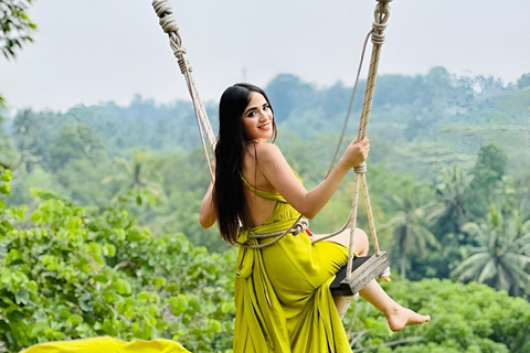 Bali: Private Jungle Swing, Waterfall & Rice Paddy Tour Private Tour with Entrance Fess