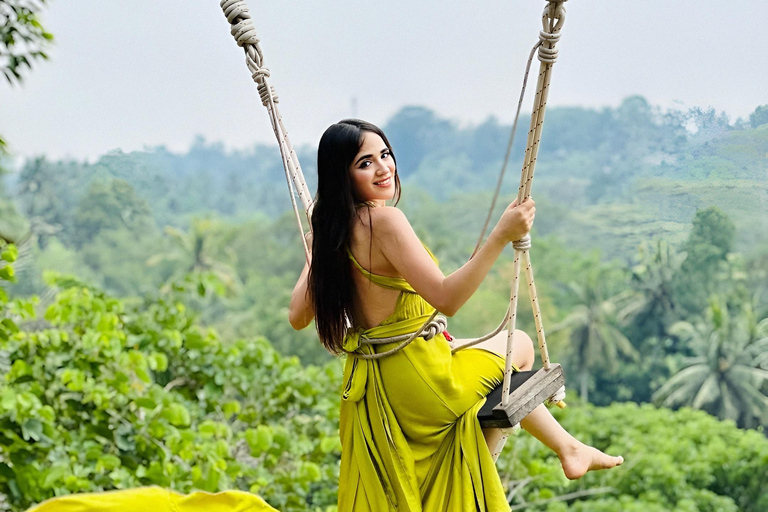 Bali: Private Jungle Swing, Waterfall & Rice Paddy Tour Private Tour with Entrance Fess