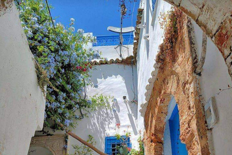 Hammamet Medina VIP: 100% Tunisian guided walking tour! Hammamet Medina VIP: 100% Tunisian Guided Walking Tour!