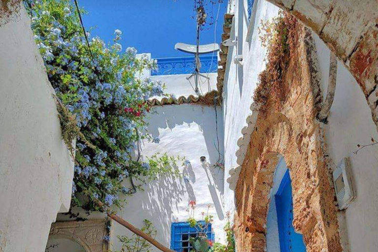 Hammamet Medina VIP: 100% Tunisian guided walking tour! Hammamet Medina VIP: 100% Tunisian Guided Walking Tour!