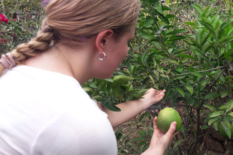 巴厘岛：莱松山两晚露营之旅·瀑布与玛永村探秘巴厘岛：2晚露营之旅，莱松山、瀑布与玛永村