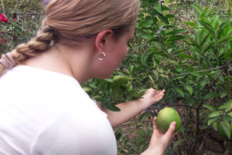 巴厘岛：莱松山两晚露营之旅·瀑布与玛永村探秘巴厘岛：2晚露营之旅，莱松山、瀑布与玛永村