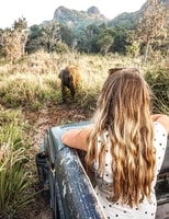 Wildlife Safari zum Hurulu Eco Park - Habarana - Hizvo