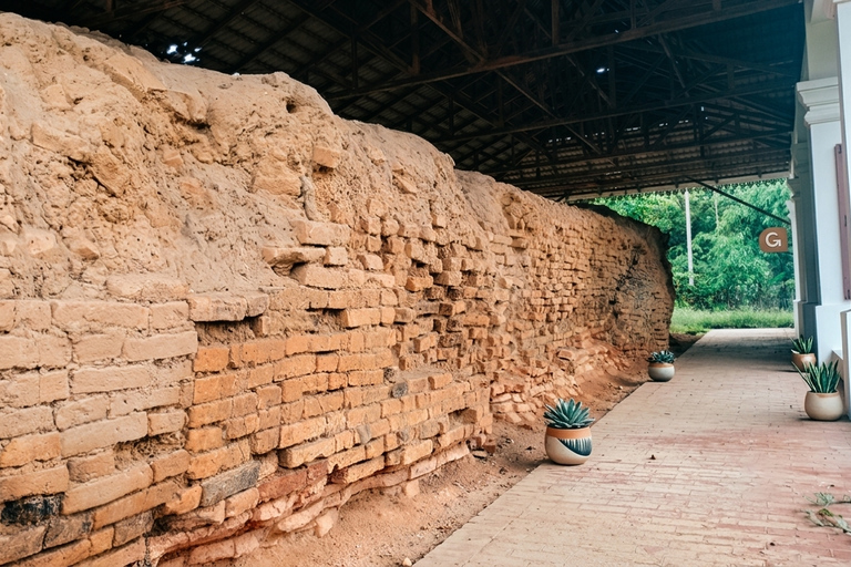 Vientiane: Guided City Wall Tour, Coffee Tasting, & Workshop 3 hours for the workshop only