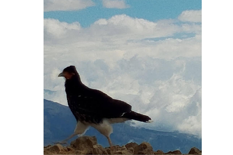 Quito: Ruco Pichincha Volcano Hike with Cable Car Ride