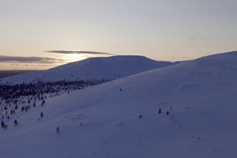 Lapland Pallas: Private Adventure Across All Terrain