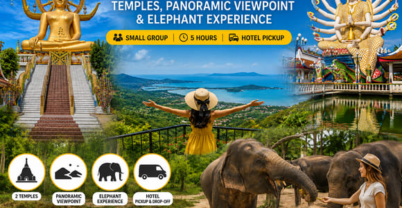 Koh Samui: Temples, Viewpoints & Optional Elephant Feeding