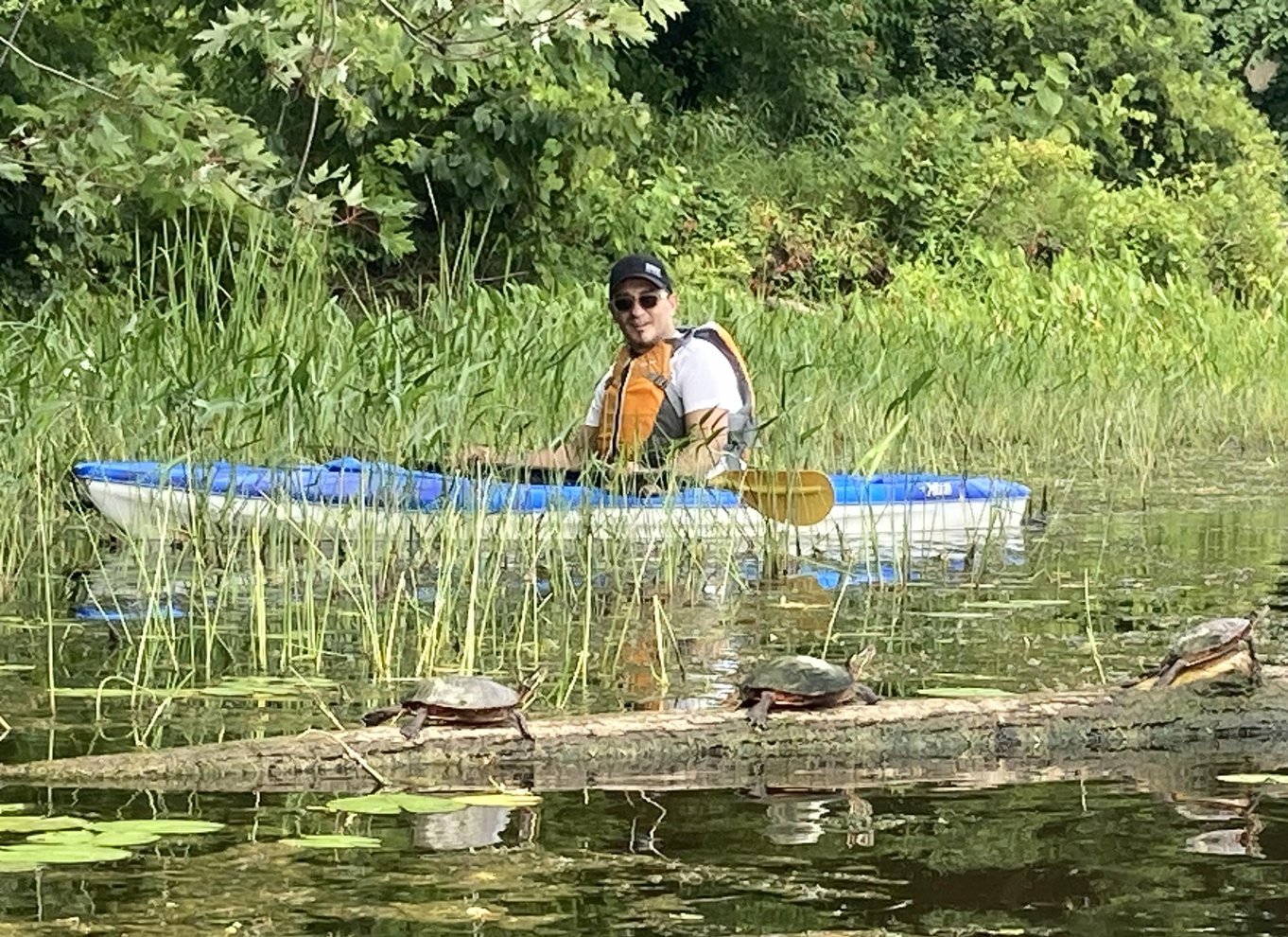 Ottawa: Kajaktur i økologisk reservat med skildpaddeobservationer