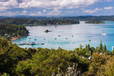 Bay of Islands: Half-Day Scenic Tour with Ferry Crossing