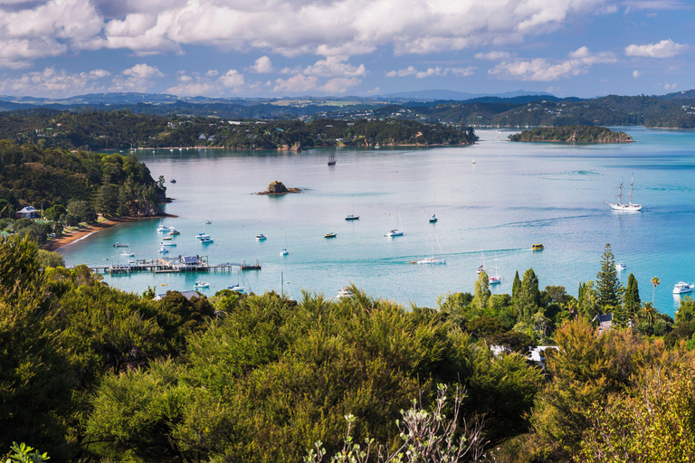 Bay of Islands: Half-Day Scenic Tour with Ferry Crossing
