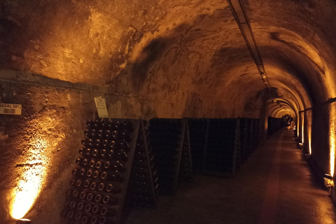 من باريس كاتدرائية ريمس وقبو الشمبانيا وتذوق الشمبانيا