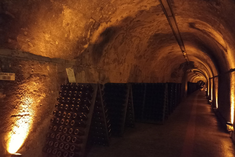 من باريس كاتدرائية ريمس وقبو الشمبانيا وتذوق الشمبانيا