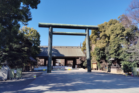 Tokyo War History Tour: Yasukuni Shrine & War Museum War & Remembrance Tour (3.5 Hours)