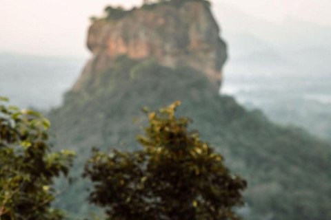 Sigiriya Rock, Dambulla Cave & Cart Rides One Day Trip Luxury Tour from Colombo, Negombo or Mount Lavinia