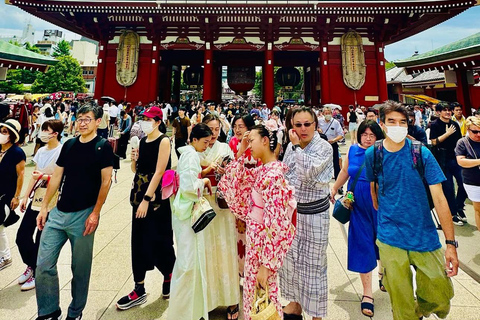 Tokyo: Private City Highlights Tour with Local Guide