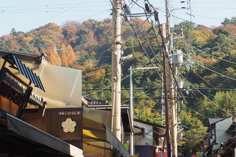 E-Bike Tour in Kyoto with Asuka, Japanese graduate student