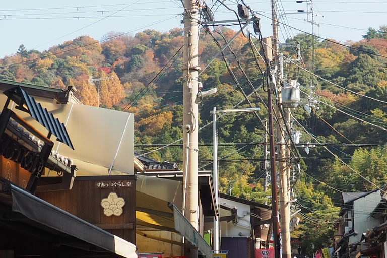 E-Bike Tour in Kyoto with Asuka, Japanese graduate student