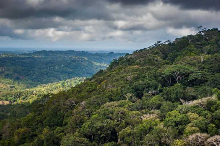 Kwale: Private day tour to Shimba Hills with Picnic lunch