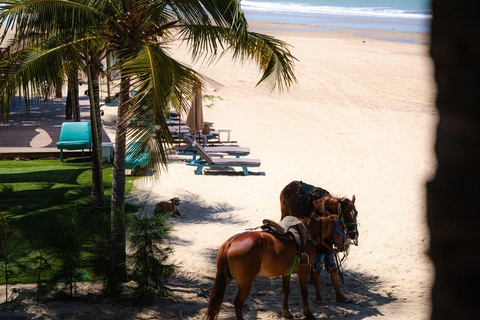 Martinique: Scenic Horseback Ride to Macabou Beach