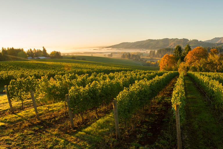 De Portland: Tour de degustação de vinhos do Vale Willamette