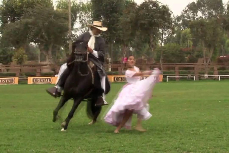 Desde Trujillo | Espectáculo de Marinera con caballos peruanos de paso