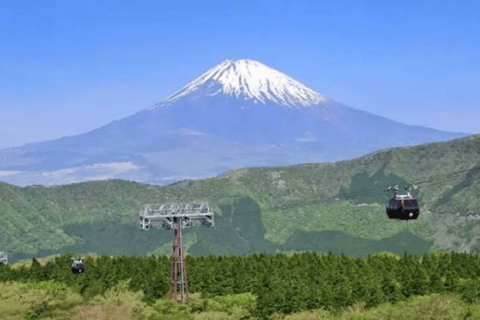 From Tokyo: Mount Fuji Full Day Customizable Private Tour