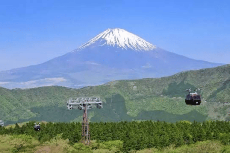 From Tokyo: Mount Fuji Full Day Customizable Private Tour