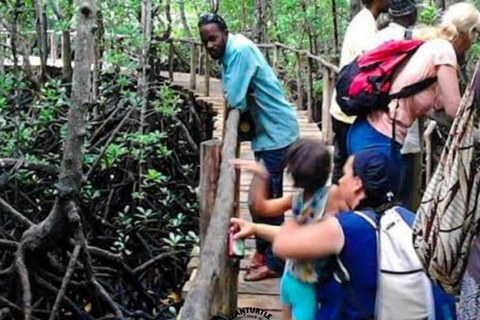 Zanzíbar: pueblo de Nungwi, bosque de Jozani y tour The RockZanzíbar: pueblo de Nungwi, bosque de Jozani y excursión a The Rock