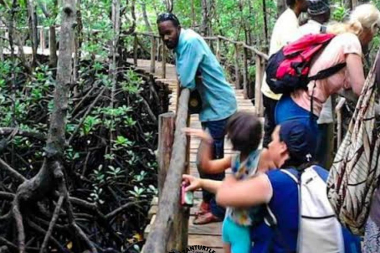 Zanzíbar: pueblo de Nungwi, bosque de Jozani y tour The RockZanzíbar: pueblo de Nungwi, bosque de Jozani y excursión a The Rock