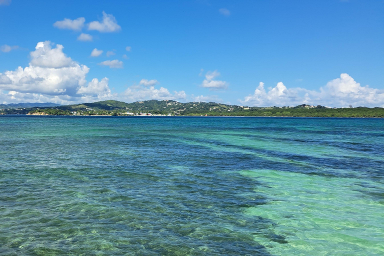 Snorkel et BBQ sur la côte