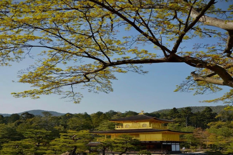 Kyoto Private Full-Day Guided Tour with customised itinerary